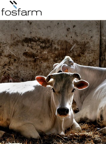 Steikos, edilizia agraria, i prodotti di Steikos per l'edilizia agraria